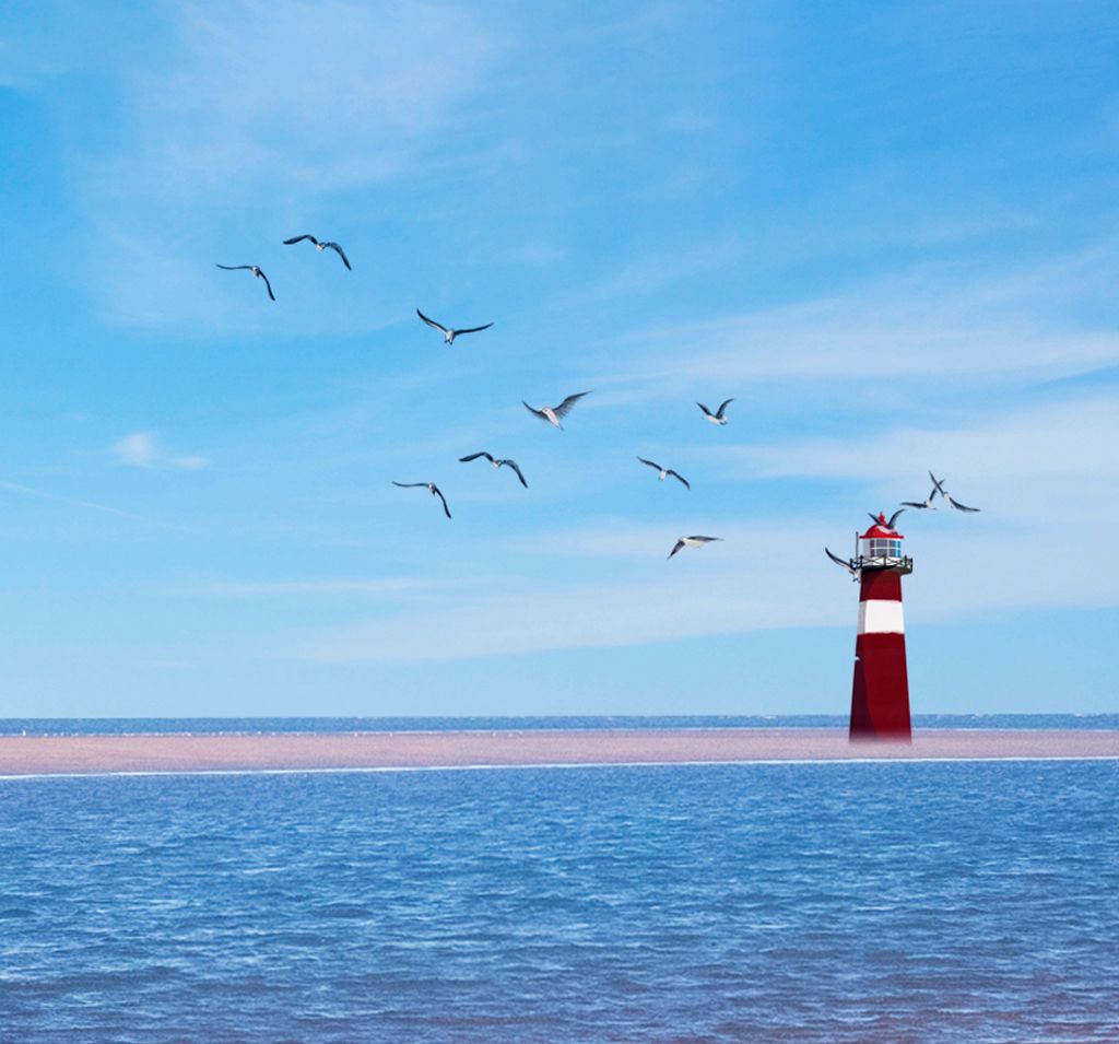 ����- long8(����)Ψһ�ٷ���վ